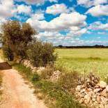 Фотография гостевого дома Arthouse Campos