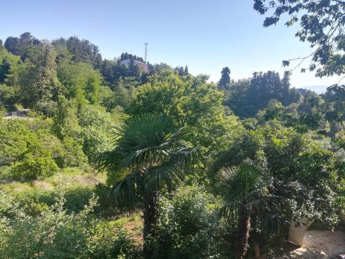 Фотография мини отеля kobuleti / cixisdziri