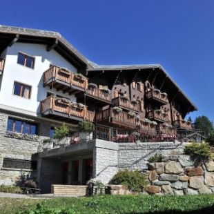 Фотография гостиницы Hotel Aletsch