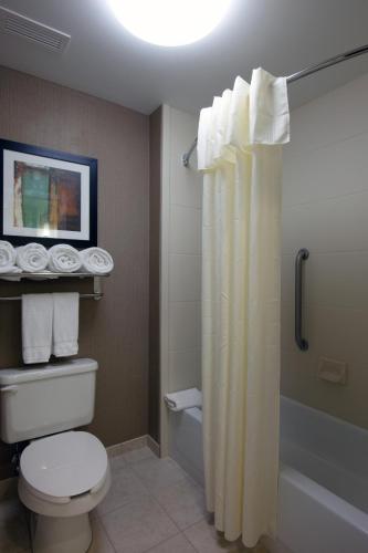 Фотография гостиницы Homewood Suites by Hilton St. Louis - Galleria