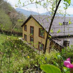 Фотография гостевого дома ДАХОВСКОЕ ПОМЕСТЬЕ