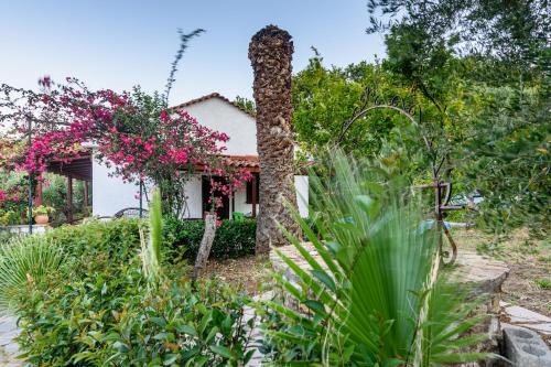 Фотография гостевого дома The Fairytale House Seaside Retreat