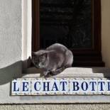 Фотография мини отеля Le Chat Botté