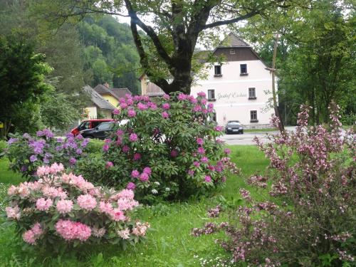 Фотографии мини отеля 
            Gasthof Eschau