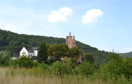 Фотография гостиницы Hotel-Restaurant Burg-Ramstein