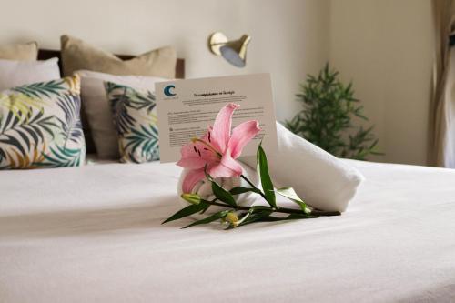 Фотография гостиницы Hotel Celta