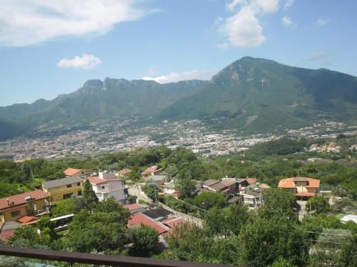 Фотографии базы отдыха 
            Agriturismo La Selva