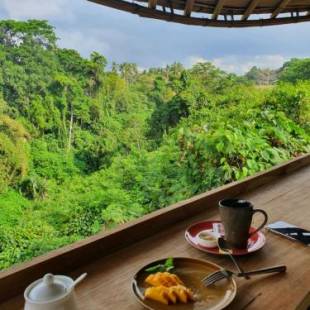 Фотографии гостиницы 
            Kadewa Retreat Ubud - Adults Only - CHSE Approved