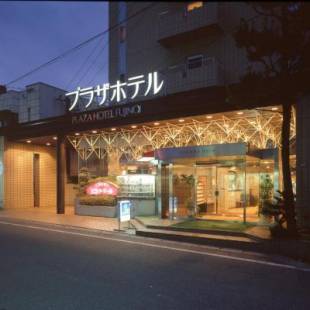 Фотографии гостиницы 
            Plaza Hotel Fujinoi