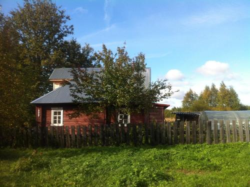 Дер придорожная. Шеляйха Новгородская область. Придорожная деревня. Фотографии деревни придорожной. Фото из проекта дом под липой.