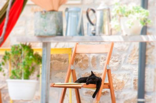 Фотография хостела Himara Hostel