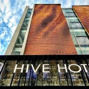 Фотографии гостиницы 
            Hive Hotel