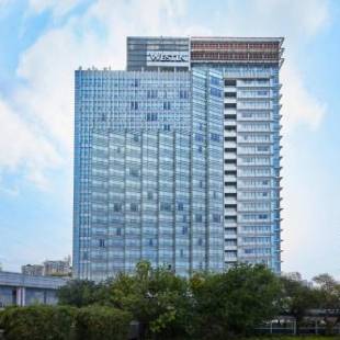 Фотографии гостиницы 
            The Westin Shenzhen Nanshan