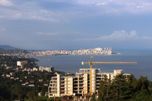 Фотография гостиницы Green Cape Tower