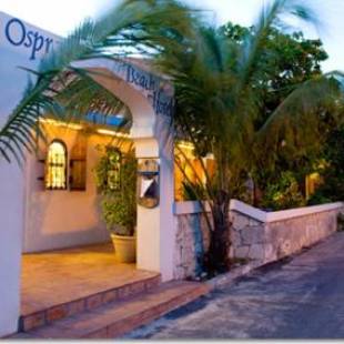 Фотографии гостиницы 
            Osprey Beach Hotel