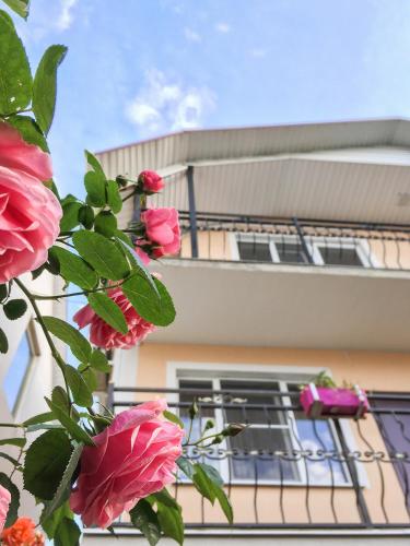 Фотография гостиницы София