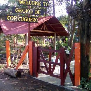 Фотографии мини отеля 
            Gecko de Tortuguero