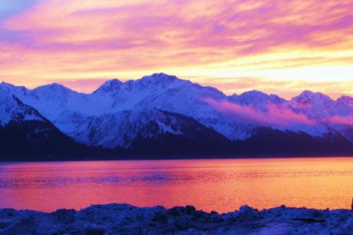 Фотография мини отеля Arctic Paradise B&B