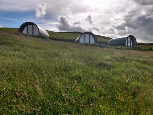 Фотографии базы отдыха 
            Hillhead Farm Luxury Glamping Pods, Dumfries, Scotland