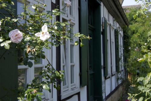 Фотографии мини отеля 
            Rosindell cottage