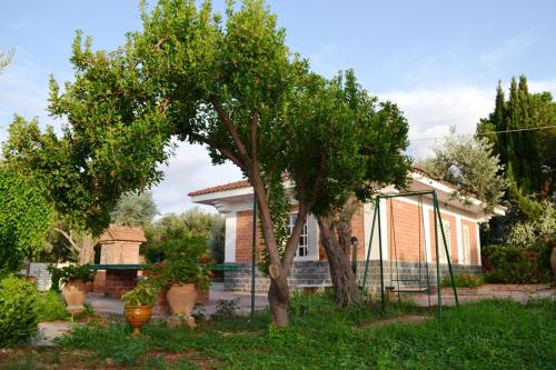 Фотографии гостевого дома 
            Il Giardino sul Mare