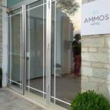 Фотография гостиницы Ammos Hotel