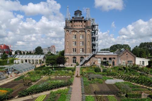 Фотографии гостиницы 
            Villa Augustus