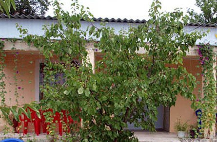 Фотография гостиницы Отдых у Заремы