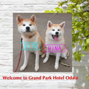 Фотографии гостиницы 
            Grand Park Hotel Odate