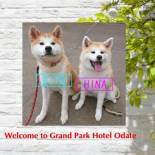 Фотография гостиницы Grand Park Hotel Odate