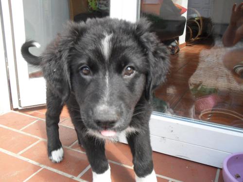 Фотография гостевого дома Ferienhaus Duhra