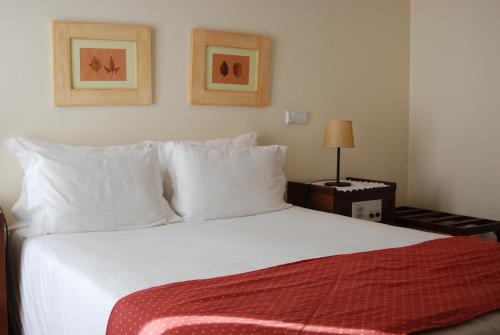 Фотография гостиницы Hotel Carvalho Araujo