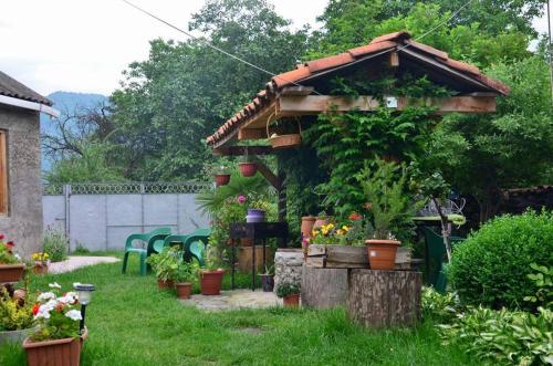 Фотография гостевого дома Leila's Guest House