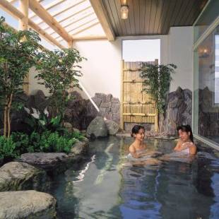 Фотографии мини отеля 
            Hotel Yuzawa Yuzawa Denkiya