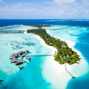 Фотографии гостиницы 
            Niyama Private Islands Maldives