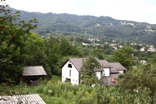 Фотографии гостевого дома 
            Hățașul Bunicului