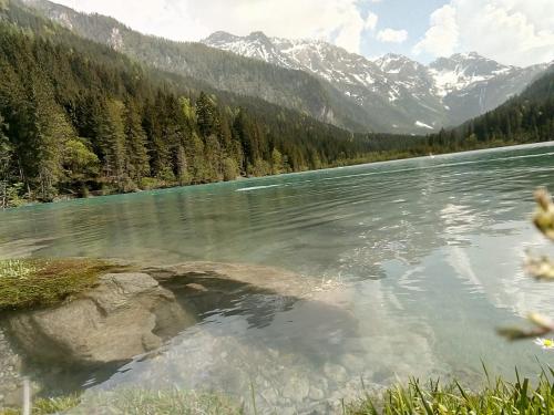 Фотография мини отеля Pension Nachtviole