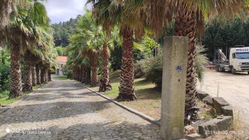 Фотография гостевого дома Quinta da Vinha do Souto