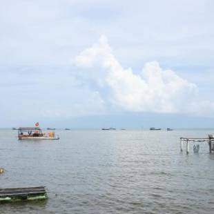 Фотографии мини отеля
Local Beach Phu Quoc