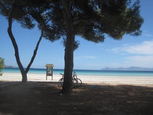 Фотография гостевого дома Carrasqueta