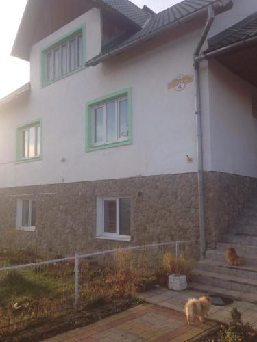 Фотография мини отеля Карпатский домик