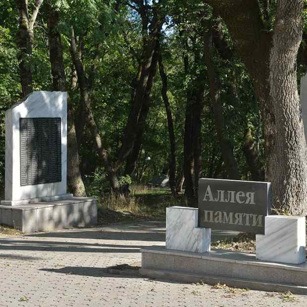 Фотографии достопримечательности 
            Аллея Памяти