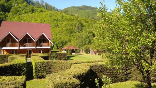 Фотография гостевого дома Pensiunea Poarta Raiului