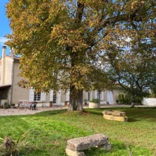 Фотография мини отеля Le Jardin dans les vignes