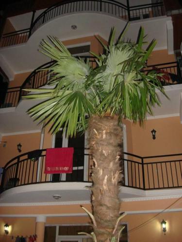 Фотография гостиницы Ресанда