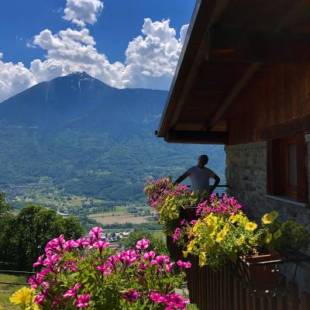 Фотографии мини отеля 
            Agriturismo Cavria