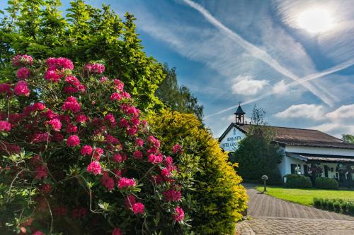 Фотография гостиницы Lohmann's Romantik Hotel Gravenberg