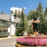 Фотография гостиницы Best Western- Big Bear Chateau