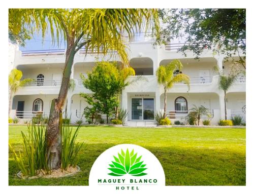 Фотографии гостиницы 
            Hotel Maguey blanco