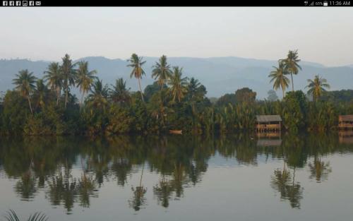 Фотография гостиницы Green Mango Bungalows